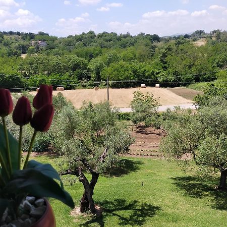 Bed and Breakfast Al Boschetto Melizzano Екстер'єр фото