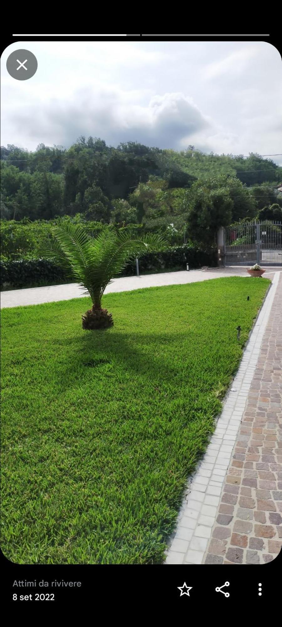 Bed and Breakfast Al Boschetto Melizzano Екстер'єр фото