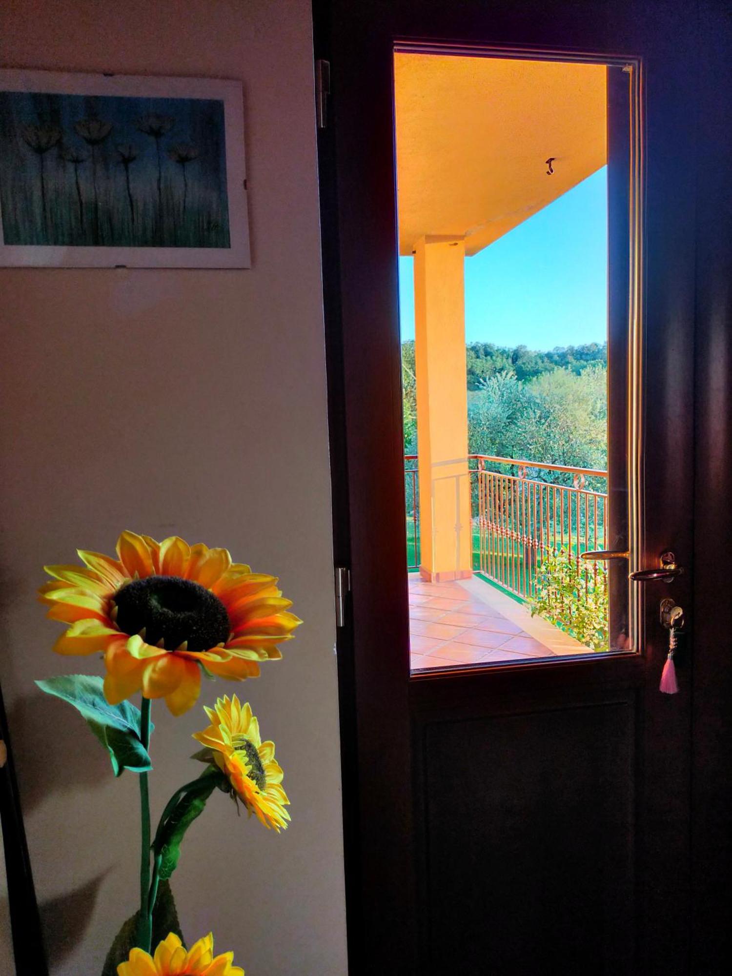 Bed and Breakfast Al Boschetto Melizzano Екстер'єр фото